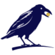 Cornix 10 LTD. logo