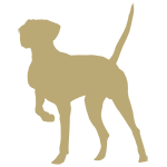 Kohler & Associates, LLC logo