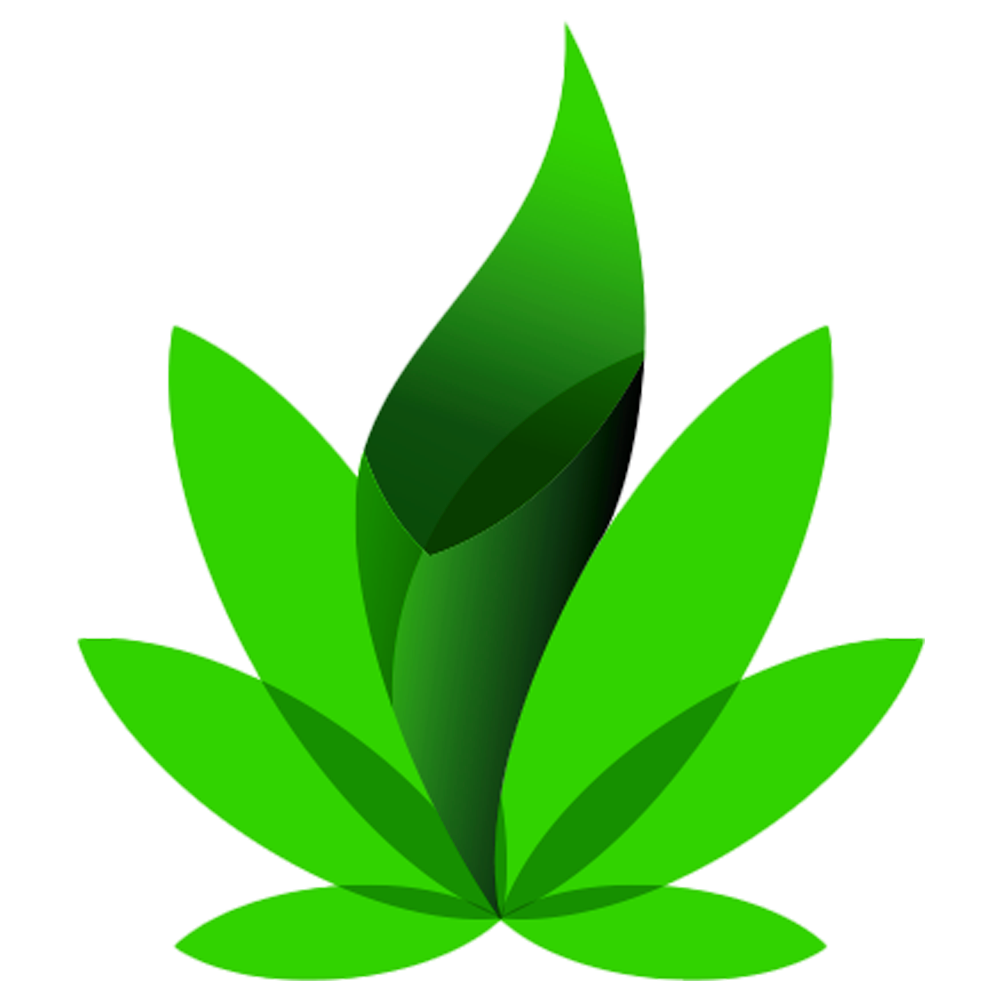 REMEDY TULALIP logo