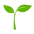 Seed Sprint logo