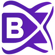 BlockchainX logo