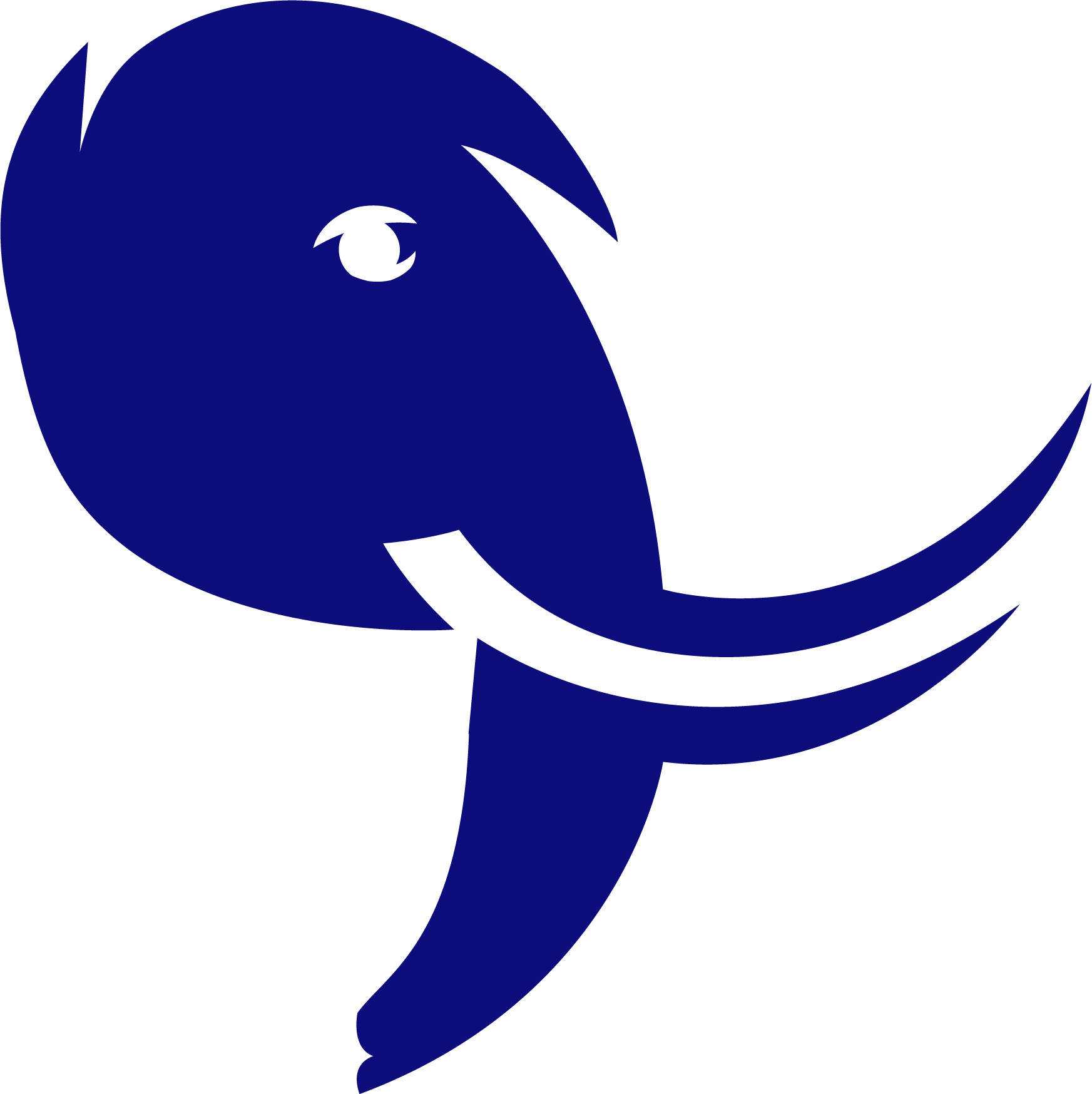 BlueTuskr logo