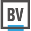 BrandVerity logo