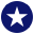 Champion Termite & Pest Control logo