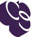 Currie & Brown Holdings Limited logo