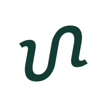 Flow Agency logo