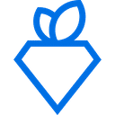 Rare Carat logo