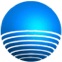 Sims Global Solutions, LLC. logo