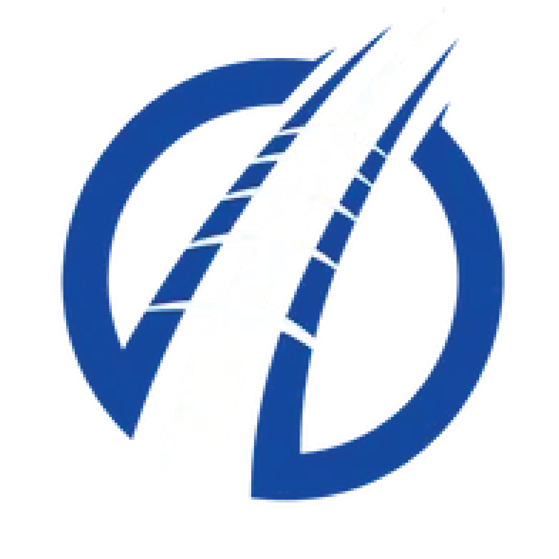 Strobel Energy Group logo