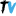 True Value Infosoft Pvt. Ltd. logo