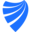 Visdum Tech, Inc. logo